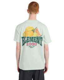 6 Fruit Gr&uuml;n ELYZT00660 Element