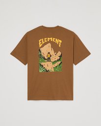 1 Summit Brown ELYZT00707 Element