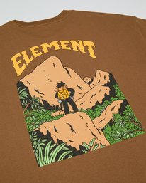 3 Summit Brown ELYZT00707 Element