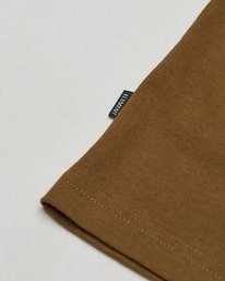 5 Summit Brown ELYZT00707 Element
