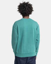 5 Cornell 3.0 - Sweat Vert F1CRD1ELF2 Element