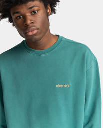 3 Cornell 3.0 - Sweat Vert F1CRD1ELF2 Element