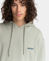 3 Cornell 3.0 - Sweat à capuche Noir F1HOB1ELF2 Element