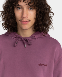 3 Cornell 3.0 - Sudadera con Capucha Violeta F1HOB1ELF2 Element
