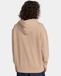 5 Cornell 3.0 - Sweat à capuche Beige F1HOB1ELF2 Element