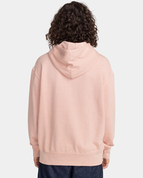 5 Cornell 3.0 - Sweat à capuche  F1HOB1ELF2 Element
