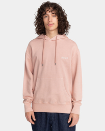 2 Cornell 3.0 - Sweat à capuche  F1HOB1ELF2 Element