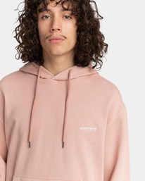 3 Cornell 3.0 - Sweat à capuche  F1HOB1ELF2 Element