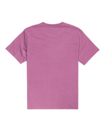 1 Ridgeline - Bio-T-Shirt für Männer  F1SSK8ELF2 Element
