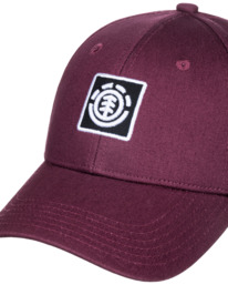 3 Treelogo - Snapback Cap for Men White F5CTC2ELF2 Element