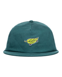 0 Lodge - Strapback Cap for Men Green F5CTC9ELF2 Element