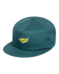 1 Lodge - Strapback Cap for Men Green F5CTC9ELF2 Element