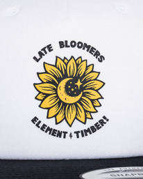 2 Element x Timber! Bloomers - Snapback-Cap Weiss F5CTD4ELF2 Element