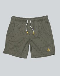 0 Howland Raft Print W - Walkshort for Men  H1WKC1ELP8 Element