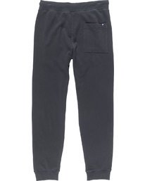 1 Cornell Pant Ft - trousers for Men  N1PTA1ELP9 Element