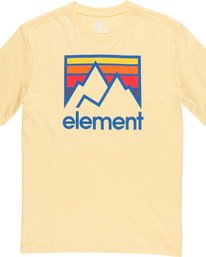 3 Link Ss - T-Shirt pour Homme  N1SSC7ELP9 Element