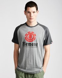 0 Vertical Ss Raglan - Tee Shirt for Men  N1SSC8ELP9 Element