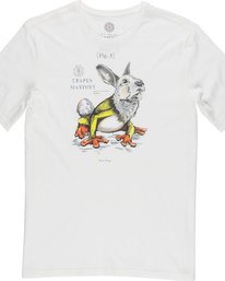3 Leapus Ss - Tee Shirt for Men  N1SSD5ELP9 Element