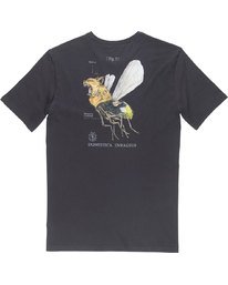 5 Domestica Ss - Tee Shirt for Men  N1SSD6ELP9 Element