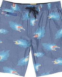 0 Hoffman Arroyo Short - Bermuda-Shorts für Männer  N1WKC2ELP9 Element