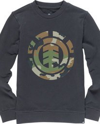 0 Foundation Icon Cr B - sudadera para Chicos  N2CRA1ELP9 Element