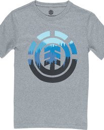 0 Glimpse Icon Ss Boy - camiseta para Chicos  N2SSA2ELP9 Element