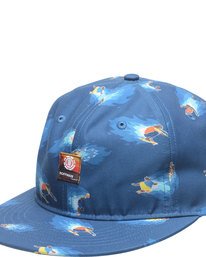 0 HOFFMAN CAP  N5CTA9ELP9 Element
