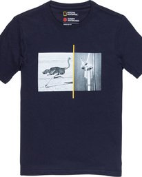 3 Ostrich Apse - T-Shirt Grey Q1SSF2ELF9 Element