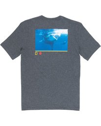 4 Current - Camiseta para Hombre  Q1SSF6ELF9 Element