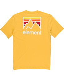 1 JOINT SS Yellow Q1SSI7ELF9 Element