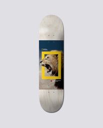 0 Nat Geo Nyjah Lion 8 - Deck  Q4DCA1ELF9 Element