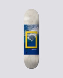 0 Nat Geo Greyson Shrk - Deck Multi Q4DCA3ELF9 Element
