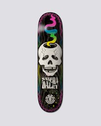 0 8.25" Skull Trip Sascha - Tavole da skate  S4CPB7ELP0 Element