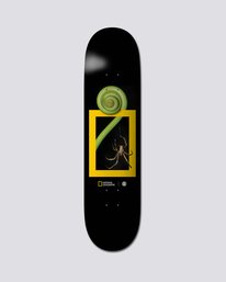 0 National Geographic 8" Nat Geo Spider - Tablas de skate  S4DCB2ELP0 Element
