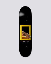 0 National Geographic 8.25" Nat Geo Dragon - Skateboard Deck  S4DCB3ELP0 Element