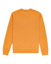 1 Blazin - Sweatshirt for Men Brown U1CRA1ELF0 Element