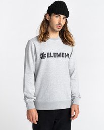 1 Blazin - Sweatshirt für Männer Grau U1CRA1ELF0 Element