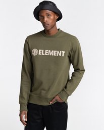 1 Blazin - Sweat pour Homme Vert U1CRA1ELF0 Element