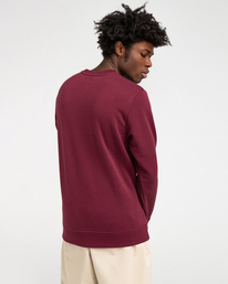 5 Blazin - Sweatshirt for Men Red U1CRA1ELF0 Element