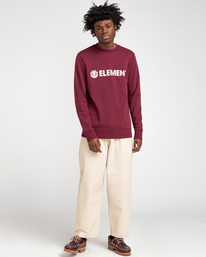 4 Blazin - Sweatshirt for Men Red U1CRA1ELF0 Element