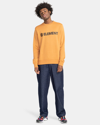4 Blazin - Sweatshirt for Men Brown U1CRA1ELF0 Element