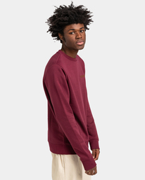 1 Blazin Chest - Sweatshirt für Männer Rot U1CRA3ELF0 Element