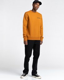 2 Blazin Chest - Sweatshirt for Men Brown U1CRA3ELF0 Element