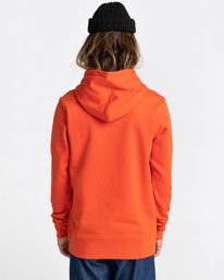 3 Vertical - Sweat à capuche pour Homme Rouge U1HOB3ELF0 Element