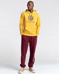 2 Vertical - Sudadera con Capucha para Hombre Amarillo U1HOB3ELF0 Element