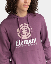 3 Vertical - Sudadera con Capucha para Hombre Violeta U1HOB3ELF0 Element
