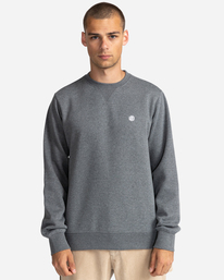 1 Cornell Classic - Sweat Gris W1CRB5ELP1 Element