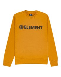 0 Blazin - Sweatshirt for Men  W1CRB6ELP1 Element