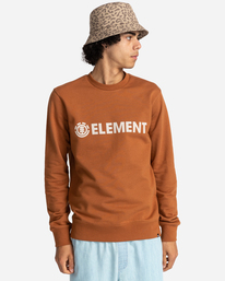 1 Blazin - Sweatshirt for Men Brown W1CRB6ELP1 Element