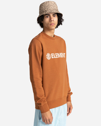 2 Blazin - Sweatshirt for Men Brown W1CRB6ELP1 Element